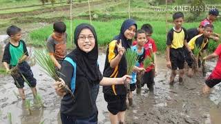 Download lagu IWAN FALS   #  GADIS TANI  # mp3