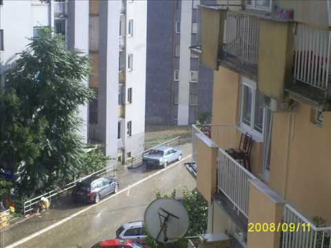 The Rottweilaz Gray City.wmv