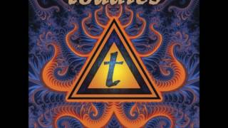 Toadies - Mine (&#39;98 Feeler Sessions)