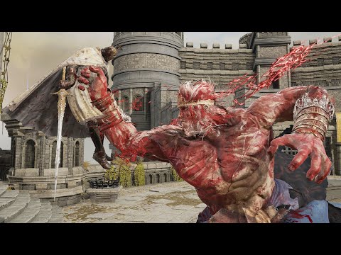 Hoarah Loux Vs New NPC - Elden Ring Shadow of the Erdtree