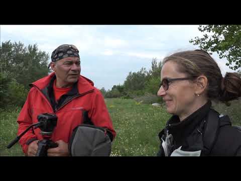 Insula Ostrov, Moldova Veche, pe Dunare