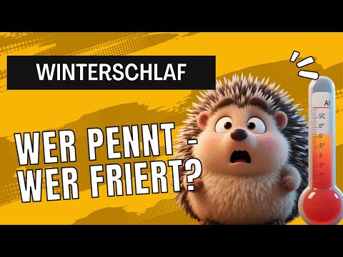 Tiere im Winterschlaf, Winterruhe & Winterstarre – einfach erklärt für Kinder!