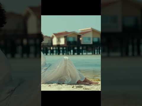 A good day  #dog #funny #youtube