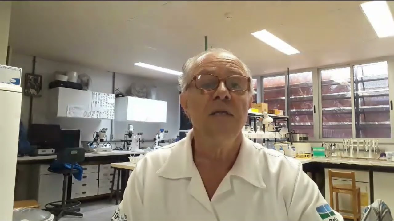 Dia de luta pela democracia brasileira - Prof. Dr. César Grisolia (UnB)