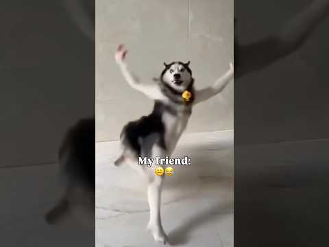 My frnd is more excited than me 😭💀 #music #arrahman #song #funny #pov #malayalam #tamil #dance