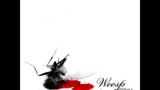 Weesp - Everything Burn (audio track)