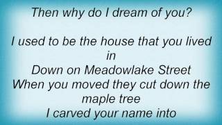 Ryan Adams - Meadowlake Street Lyrics