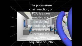 PCR - Reazione a catena della polimerasi (sub eng)