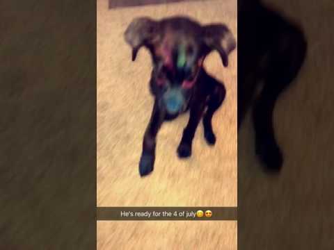 Elida and Macks baby!!