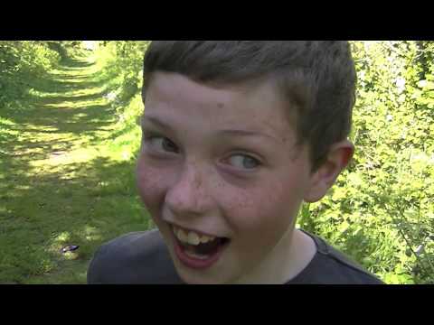 Behind the Scenes:  The Beast of Ballywalter