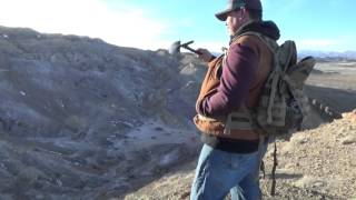 Hunting dinosaur bones in Wyoming,amazing finds. With Bradly.