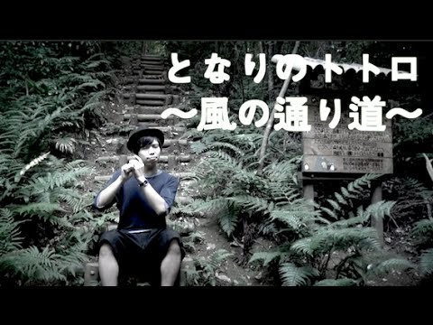 となりのトトロ〜風の通り道〜 / Ghibli Song Cover