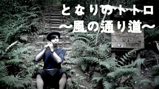 となりのトトロ〜風の通り道〜 / Ghibli Song Cover