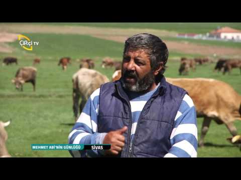 Mehmet Abi'nin Günlüğü - Kızılca Kışla Köyü Sivas