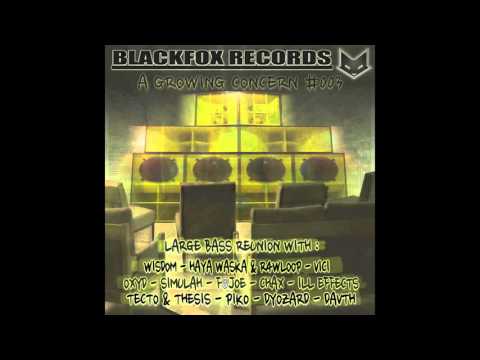 OXYD - Black hole /// A Growing Concern V/A #003 /// Blackfox Records