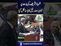 Shahbaz Sharif Ki Bat Par Khawaja Saad Rafiq Or Asif Zardari Ki Hassi Nikal Gae Shorts Shortsfeed
