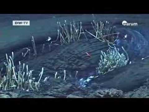 Exploring the Deep 2 – The Secret of Underwater Asphalt