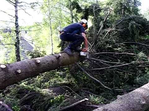 download lagu mp3 mp4 Chainsaw Ninja, download lagu Chainsaw Ninja gratis, unduh video klip Download Chainsaw Ninja Mp3 dan Mp4 Unlimited Gratis