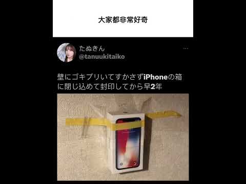 蟑螂螢火蟲梗圖