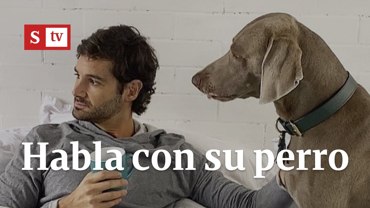 La historia del hombre que habla con su perro | Videos Semana