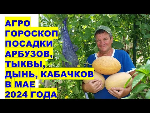 , title : 'Агрогороскоп посадки арбузов, кабачков в мае 2024Agrohoroscope for planting watermelons and zucchini'