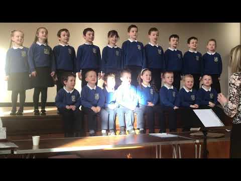 4 March 2020 Ballytrea PS     Bought Me a Cat