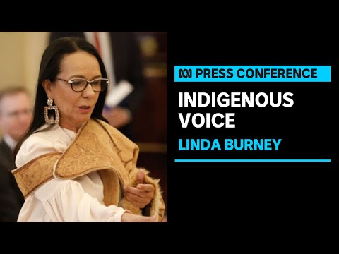 IN FULL: Wording of Voice to Parliament question and constitutional amendment ongoing | ABC News