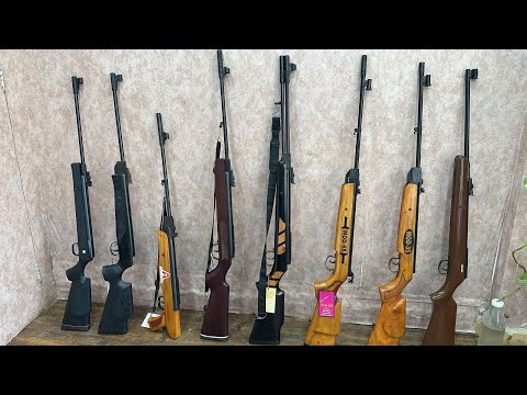 Affordable Air Rifles in India Starting at Just ₹5000 | Free Shipping