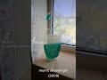 Shower Gel 2009