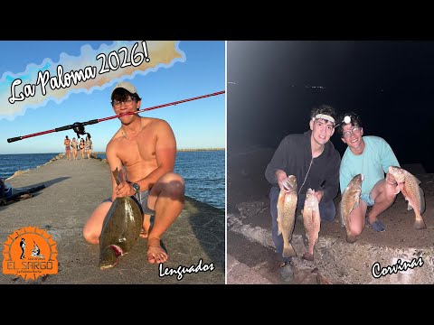 Pesca de Lenguados y Corvinas / La Paloma Rocha!