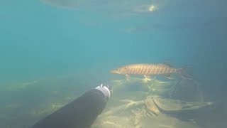 Подводная рыбалка снаряжение липецк