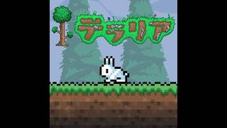 【Terraria】友人とまったりしっかり雑談国づくり