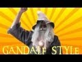 Wizard Gandalf Style
