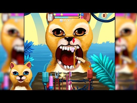 Become An Animal Dentist Video