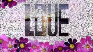 I&#39;ll Never Say Goodbye