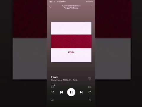 toquel X dirty harry FENDI