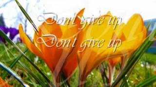 Roch Voisine -  Don&#39;t Give Up