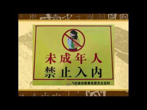 CNP October 2019 Panel re China -  Gaffney, Fu, Skinner, Whitney