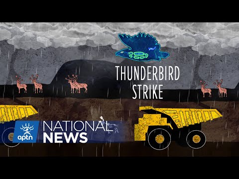 Indigenous game created to raise awareness subject of criticism by oil groups | APTN News