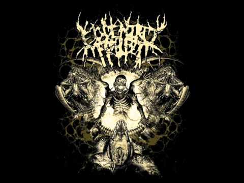 Eccentric Toilet- Unheaven [ Bangkok]