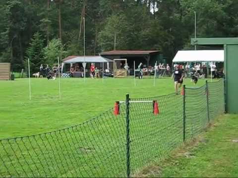 110710 1.THS-Turnier bei den Hundefreunden Lengerich