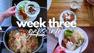 What I Eat in a Week on the GAPS INTRO DIET | stages 4 & 5 (gut healing protocol)