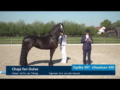 Locatiekeuring 7-5-2020 Hengstenhouderij gebr.  Van Manen