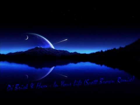 Dj Brisk & Ham - In Your Life (Scott Brown Remix) Technicidio Extended