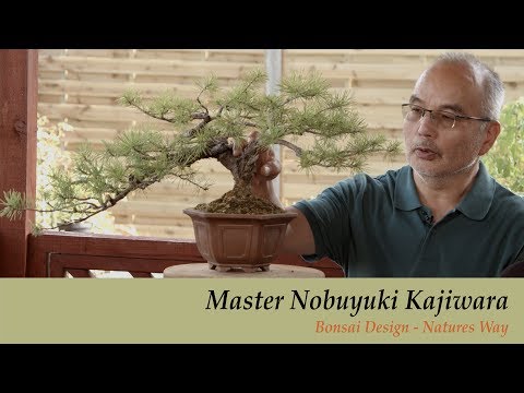 Bonsai Masterclass - Bonsai Trees Design - Natures Way with Master Nobuyuki Kajiwara #179