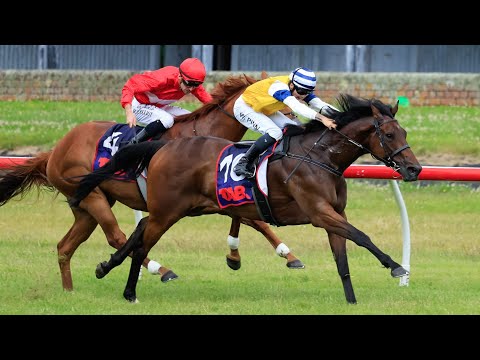 2026 $500.000 TAB Telegraph (G1) | Trentham Racecourse NZ | FULL RACE REPLAY!