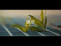 ベリーグッドマン　甲子園開幕にあわせて新曲「雑草」MVの公開が決定