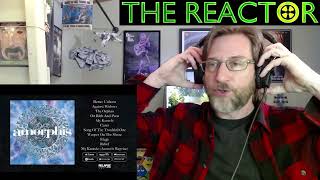 Reactor - Amorphis - Elegy - Weeper On The Shore - Pt 8