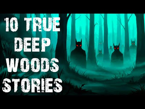 10 True Disturbing Deep Woods Scary Stories | Horror Stories To Fall Asleep To
