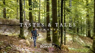  Tastes & Tales - A Journey Through the Local Flavors 